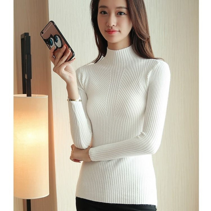 Turtleneck Knitted Tops - Robust Quality Store