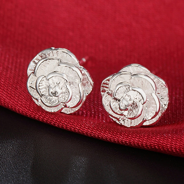 Sterling Silver Earrings - Robust Quality Store