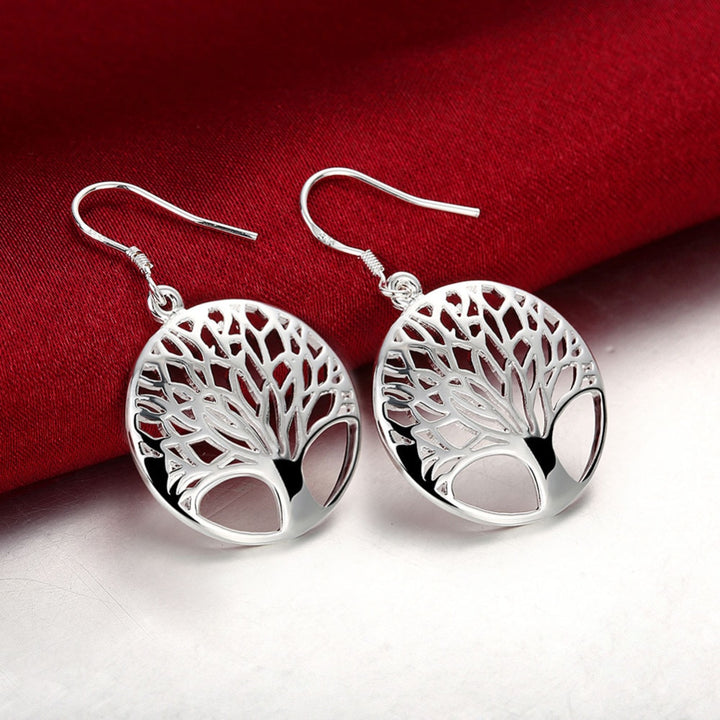 Sterling Silver Earrings - Robust Quality Store